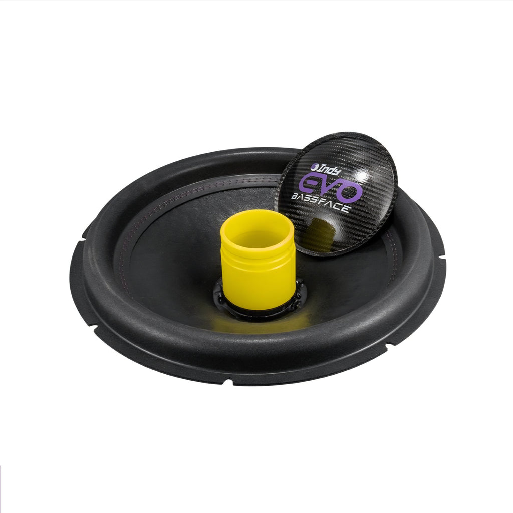 Bassface Indy EVO15/2 2x2Ohm Subwoofer Recone Kit